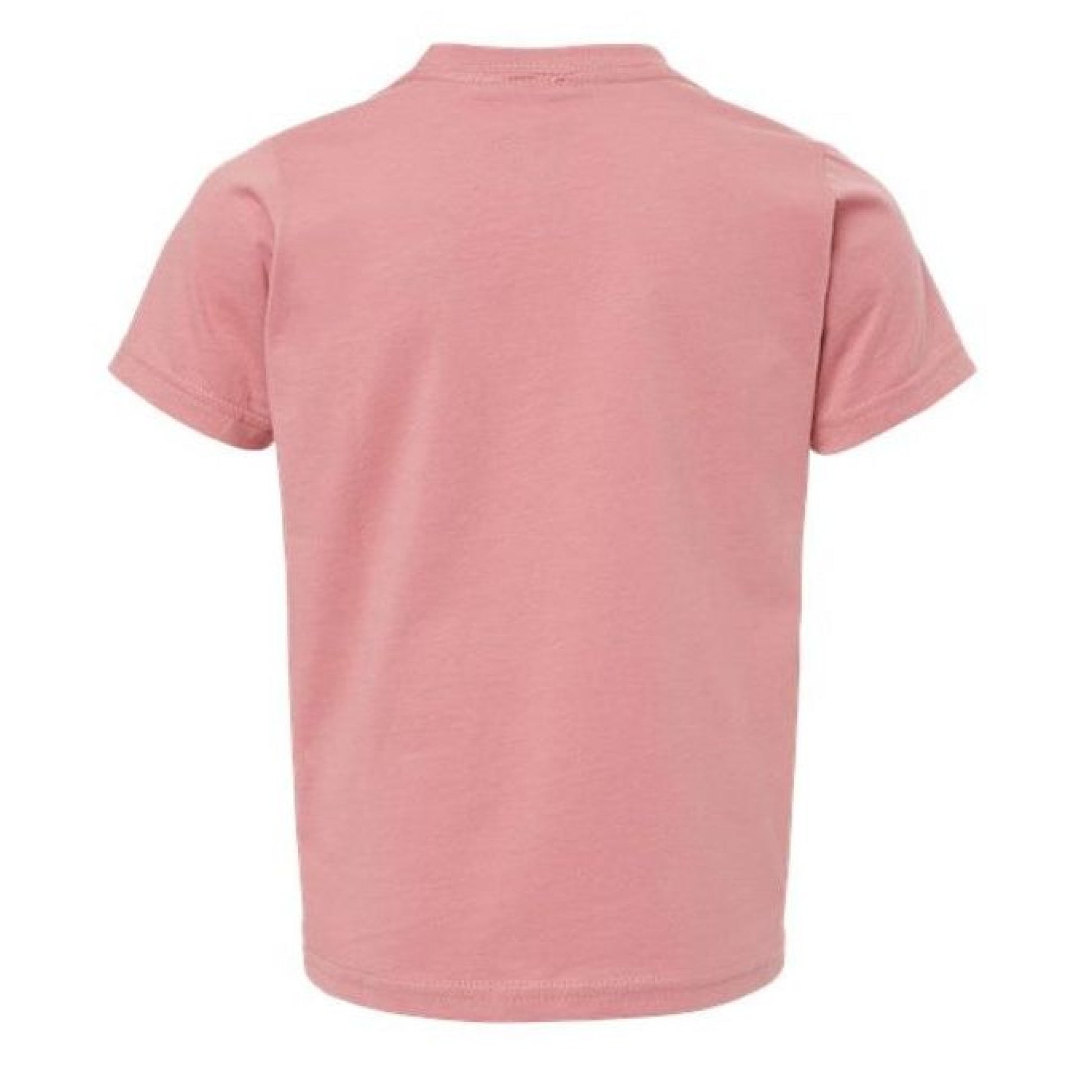 Tiny Disciple Faith Toddler T-Shirt Salvation Clothing and Accessories