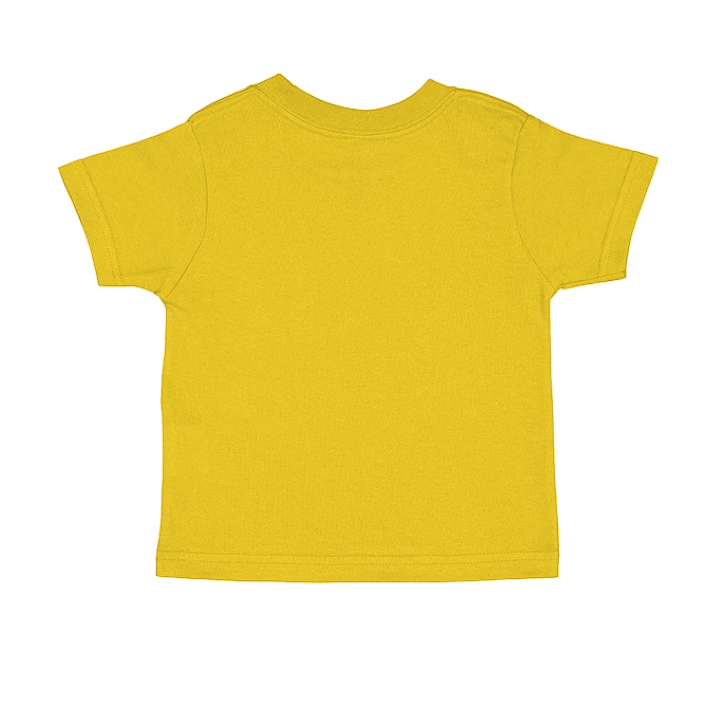 Roar for Jesus 1 Peter 5:8 Toddler Faith T-Shirt Salvation Clothing and Accessories Apparel