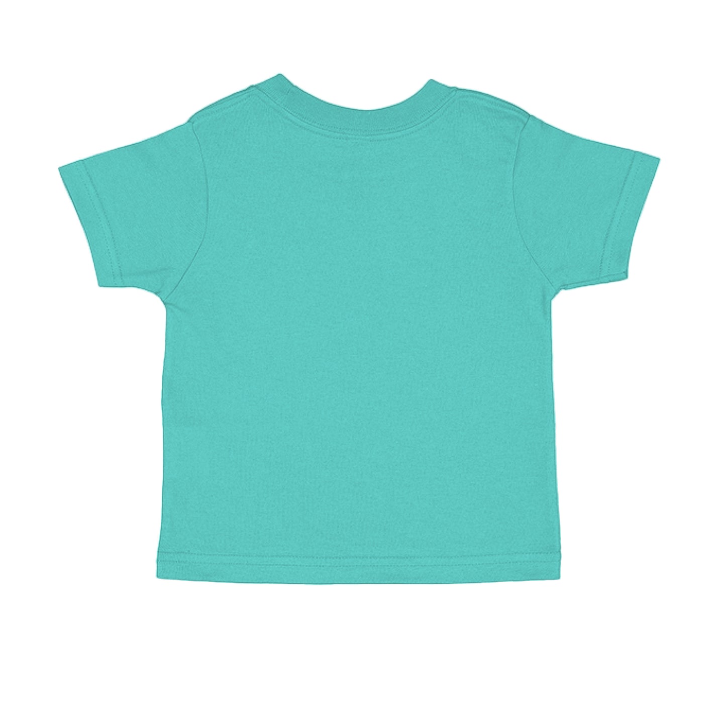 Roar for Jesus 1 Peter 5:8 Toddler Faith T-Shirt Salvation Clothing and Accessories Apparel