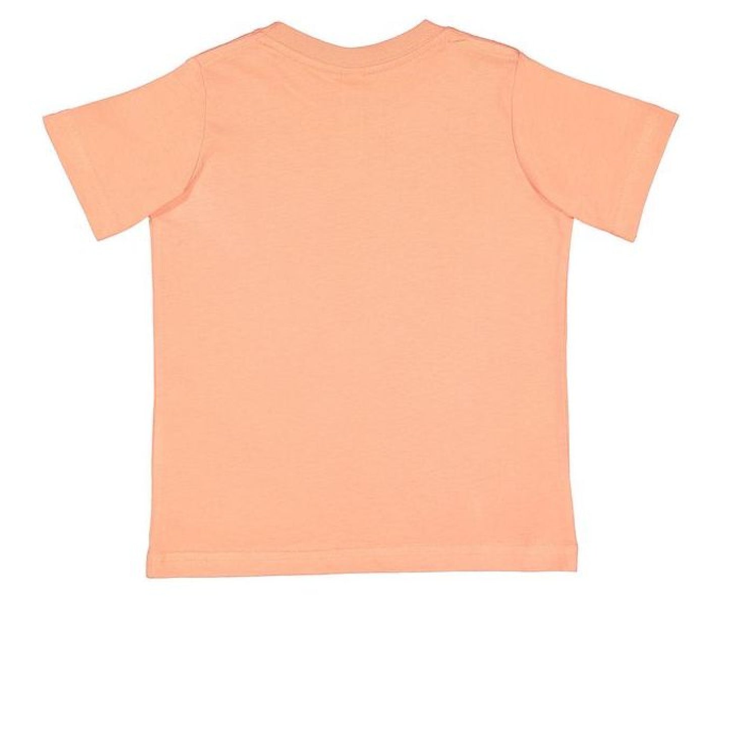 Rooted in Christ Toddler T-Shirt Salvation Clothing and Accessories Apparel